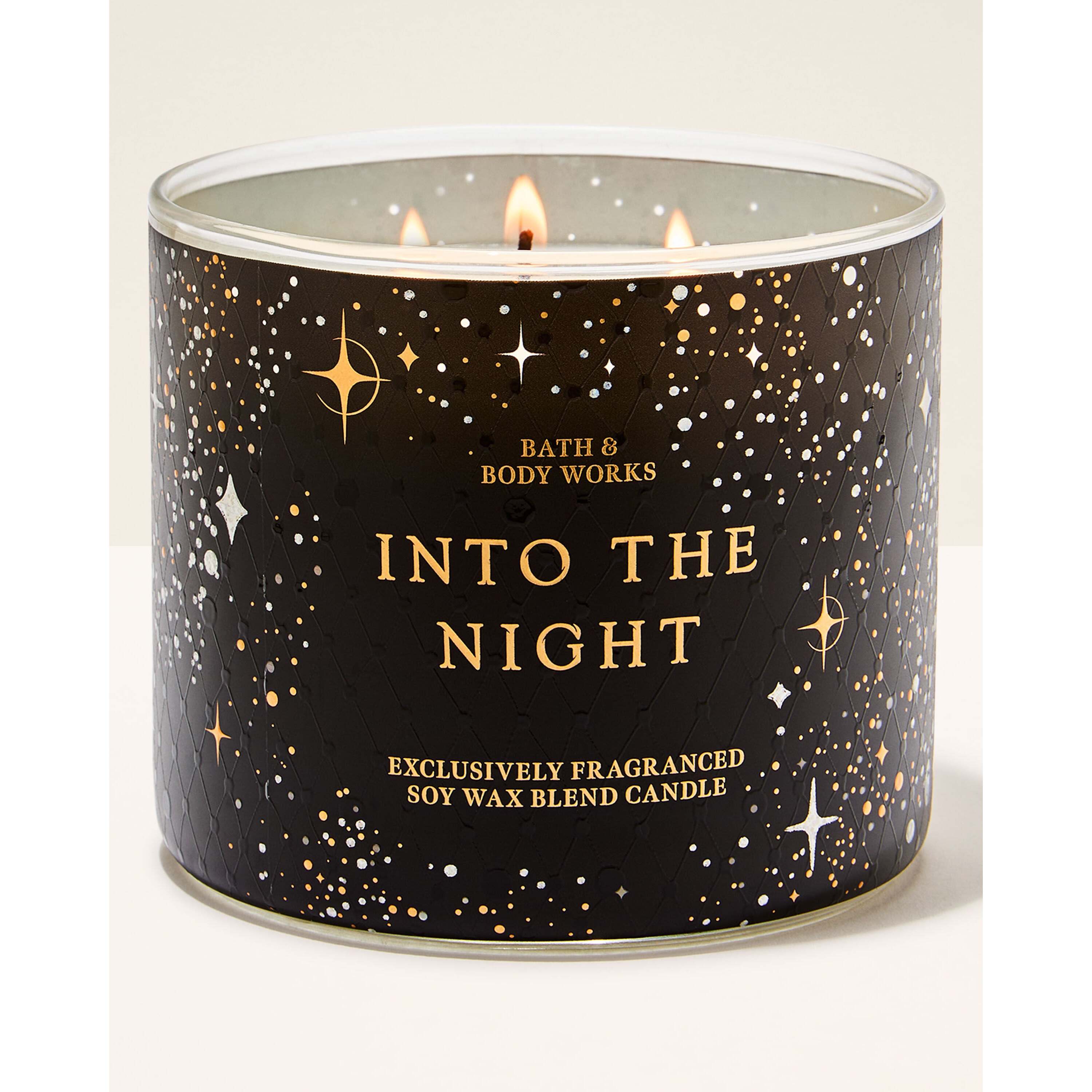Into The Night 3-Wick Candle