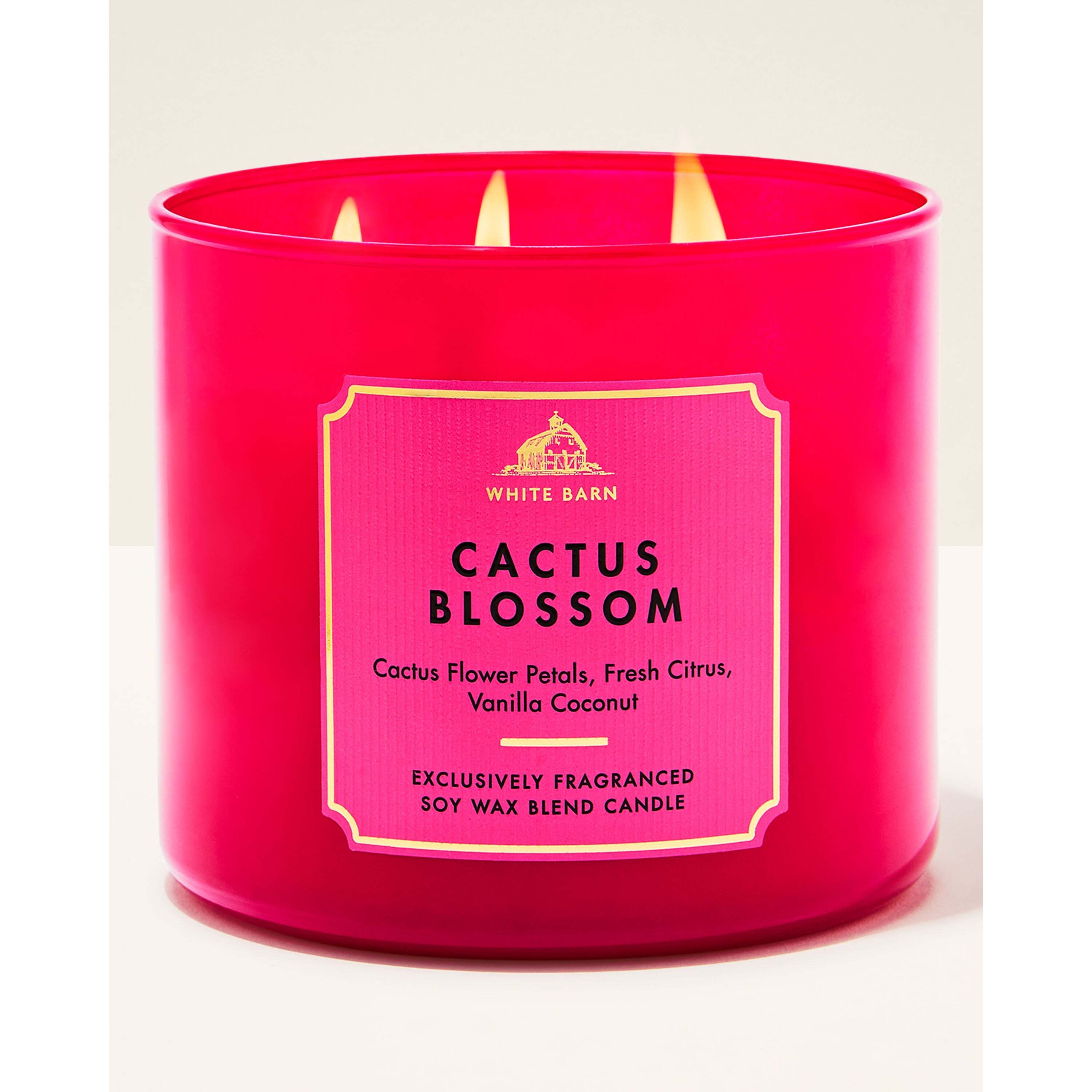 Cactus Blossom 3-Wick Candle