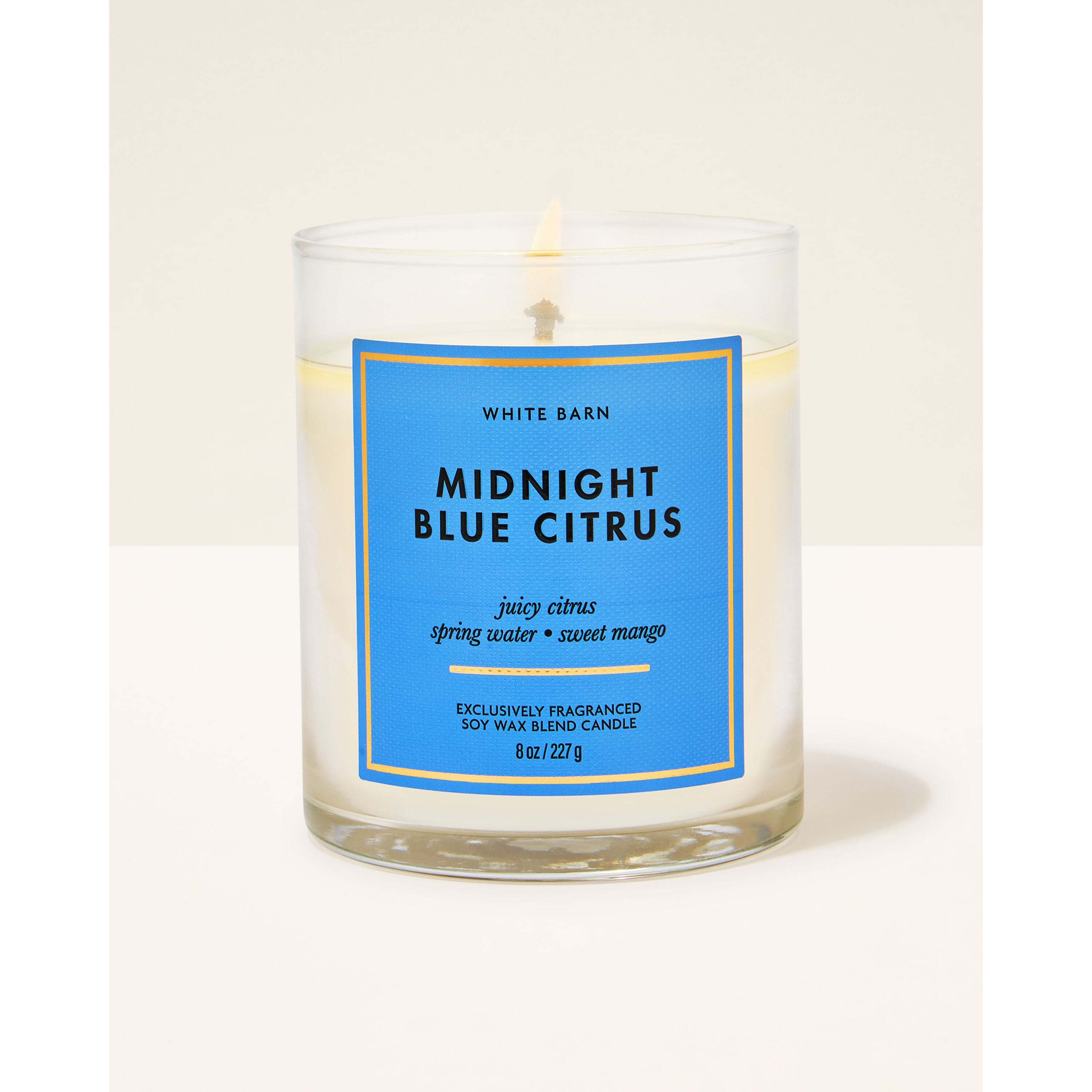 Midnight Blue Citrus Single Wick Candle